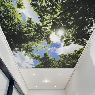 Fotodecke,Plameco Spanndecke,Bielefeld